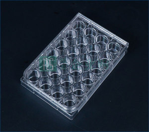 I-QUIP/芯硅谷 細胞培養板 C7065-C12-20EA 20個 1箱